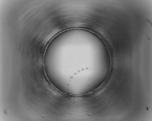 X0000102791073200809021109