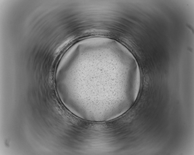 X0000102791074200809021109