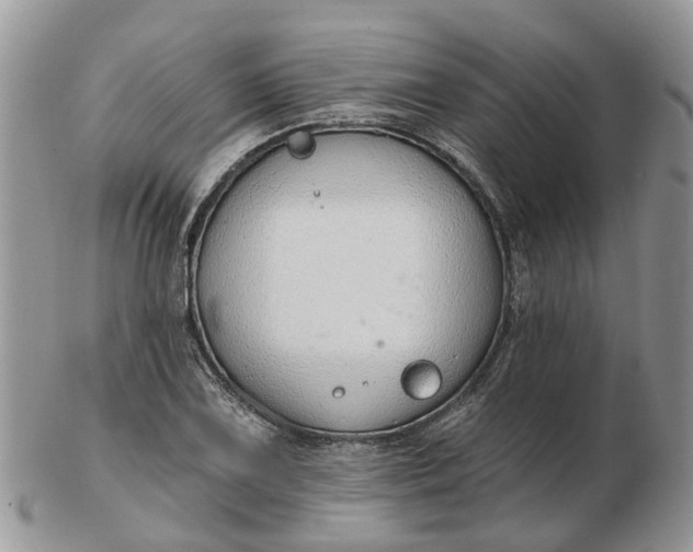 X0000102791075200809021109