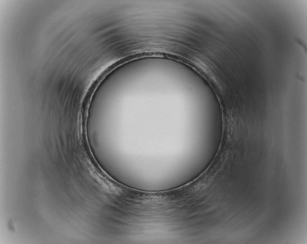 X0000102791076200809021109