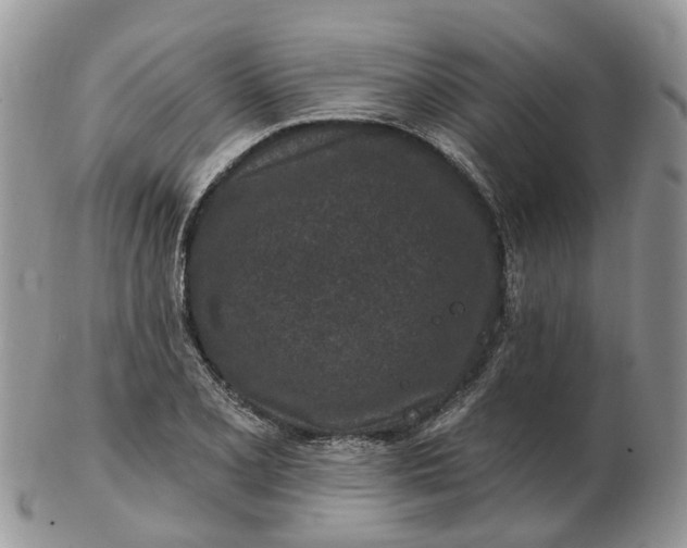 X0000102791077200809021109