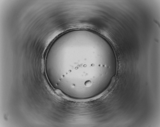 X0000102791079200809021109