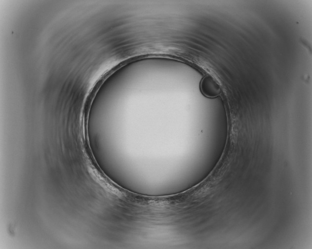 X0000102791080200809021109