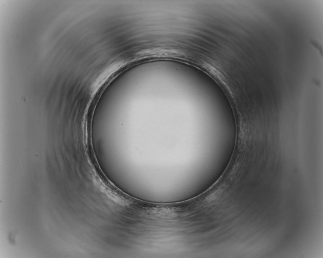 X0000102791082200809021109