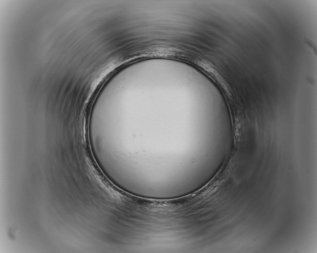 X0000102791083200809021109