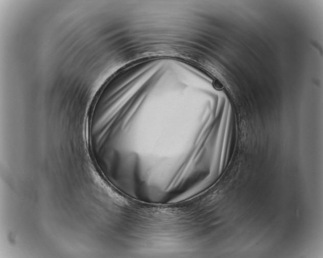 X0000102791084200809021109