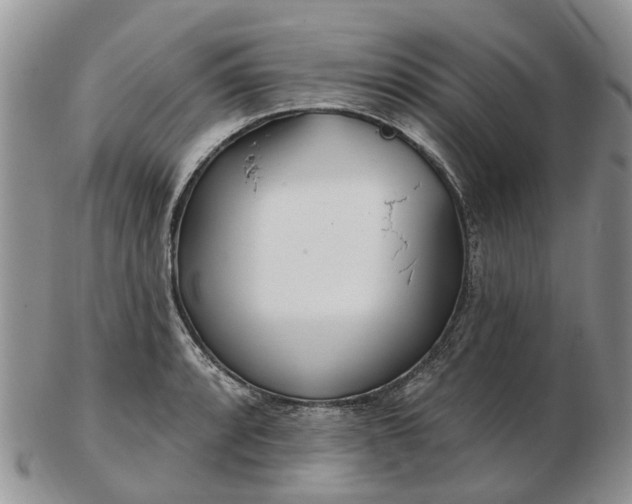 X0000102791088200809021109