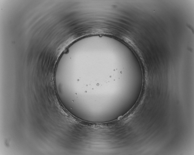 X0000102791089200809021109