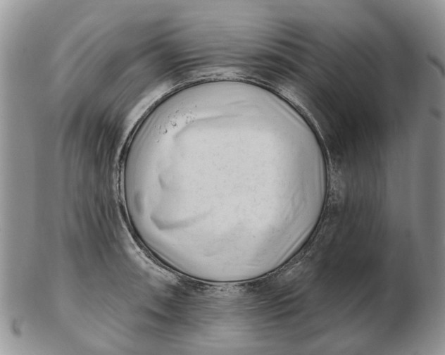 X0000102791090200809021109