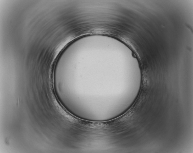 X0000102791091200809021109