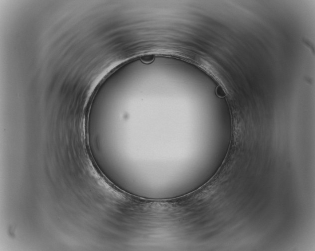 X0000102791092200809021109