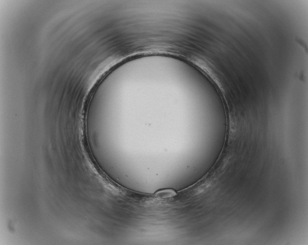 X0000102791093200809021109