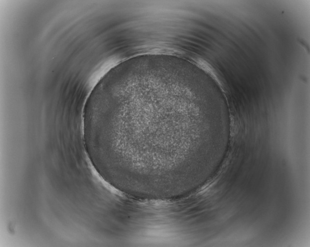 X0000102791095200809021109