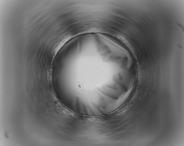 X0000102791097200809021109