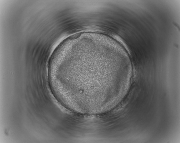 X0000102791099200809021109