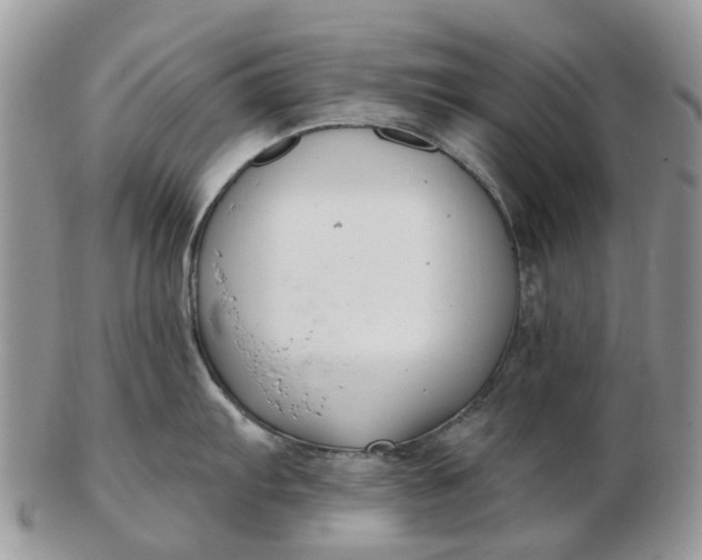 X0000102791103200809021109