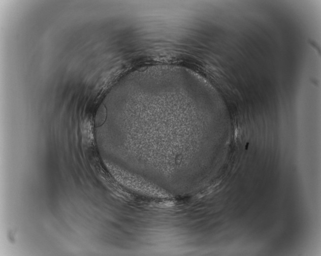 X0000102791106200809021108