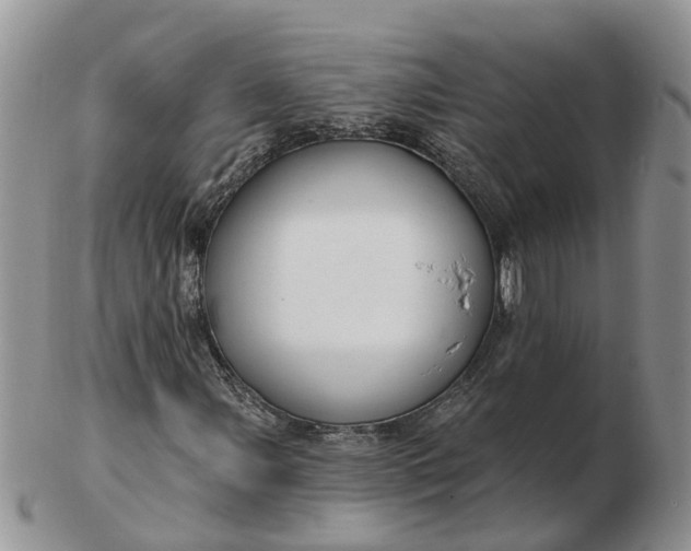 X0000102791107200809021108