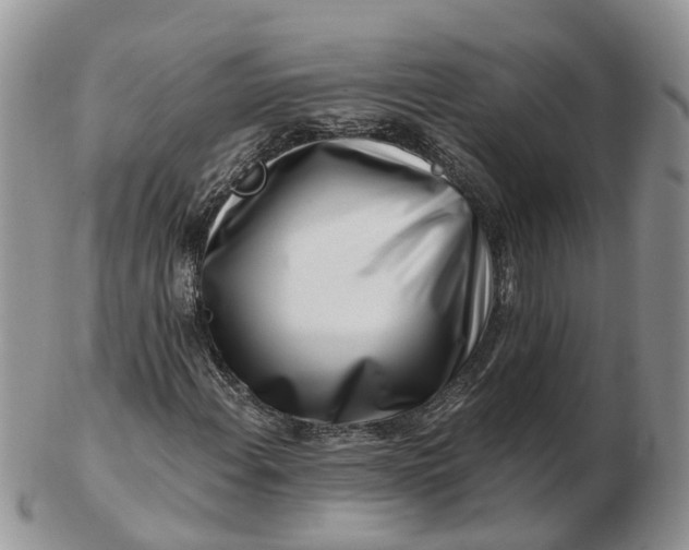 X0000102791108200809021108