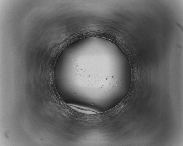 X0000102791109200809021108