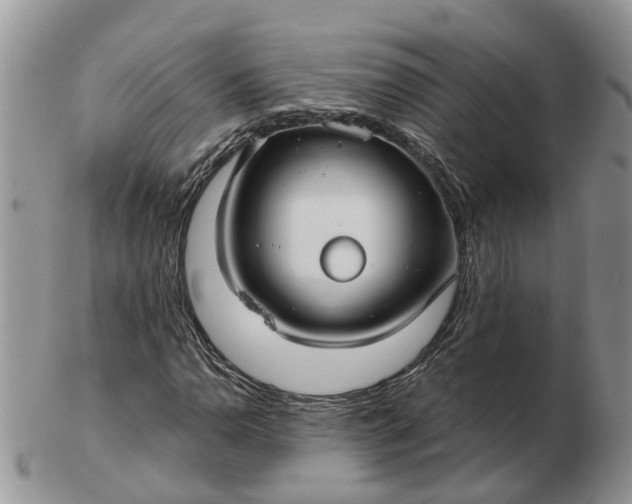 X0000102791110200809021108