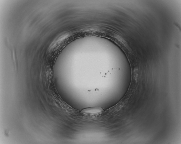 X0000102791111200809021108