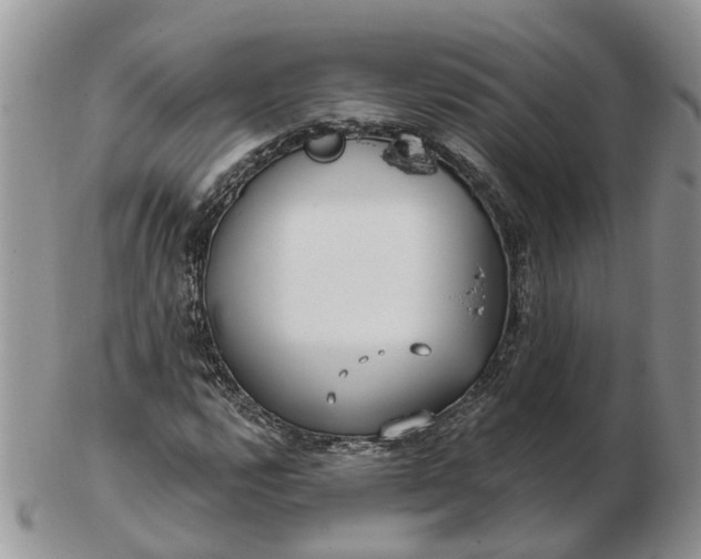 X0000102791112200809021108