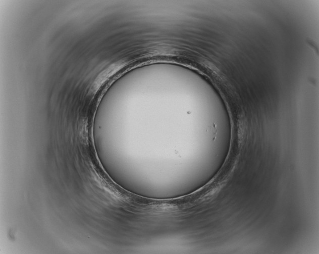 X0000102791113200809021108