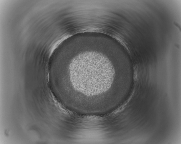 X0000102791117200809021108