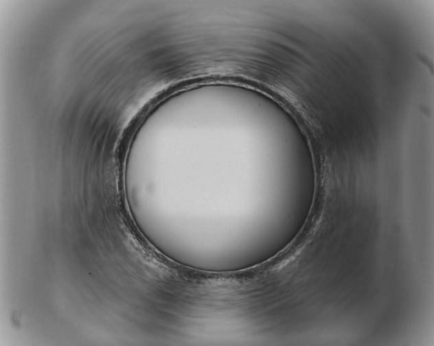 X0000102791118200809021108