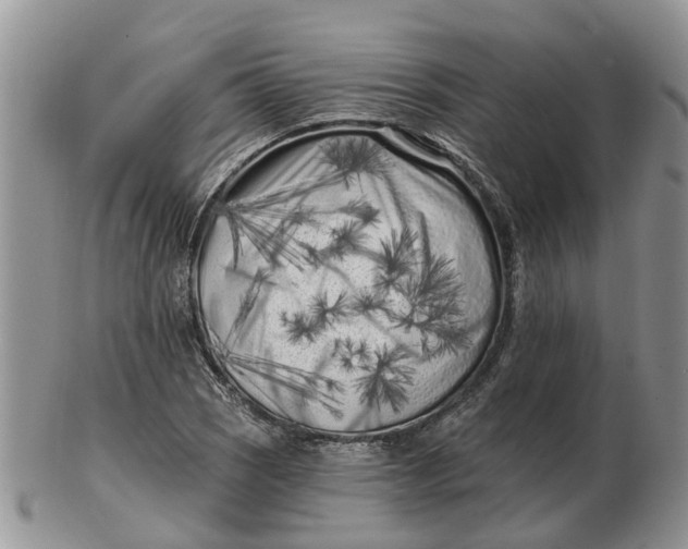 X0000102791121200809021108