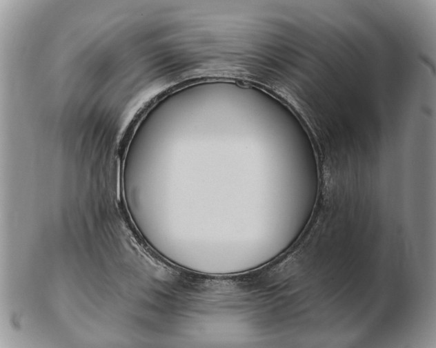 X0000102791123200809021108