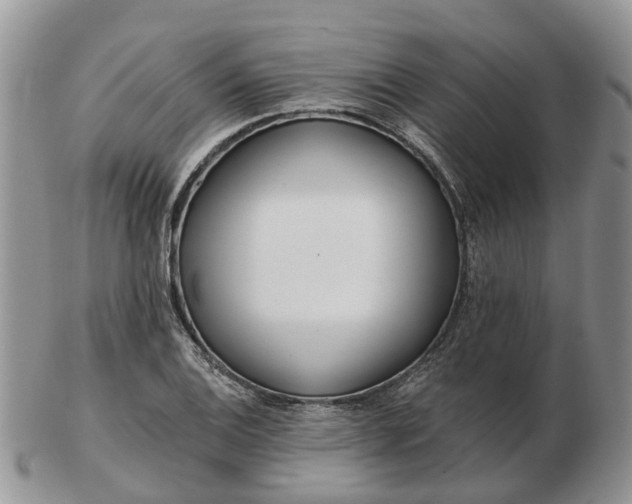 X0000102791124200809021108