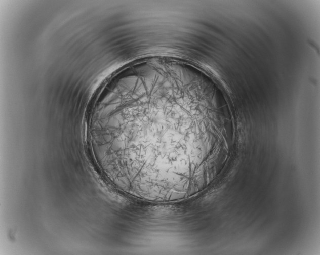 X0000102791125200809021108