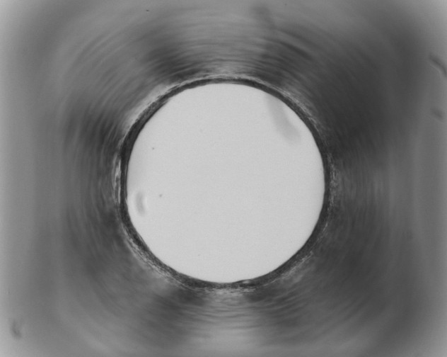 X0000102791126200809021108