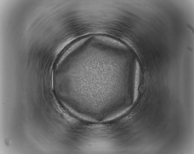 X0000102791127200809021108