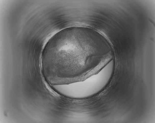 X0000102791128200809021108