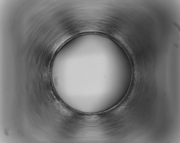 X0000102791129200809021108