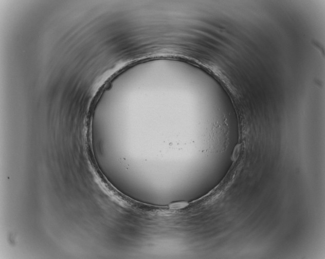 X0000102791134200809021109