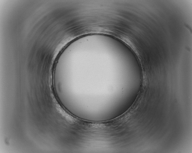 X0000102791136200809021109