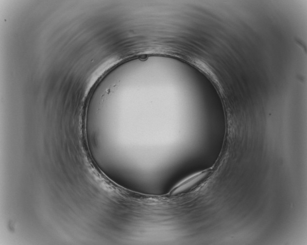 X0000102791138200809021109