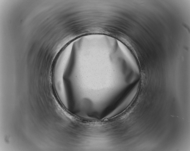 X0000102791141200809021109