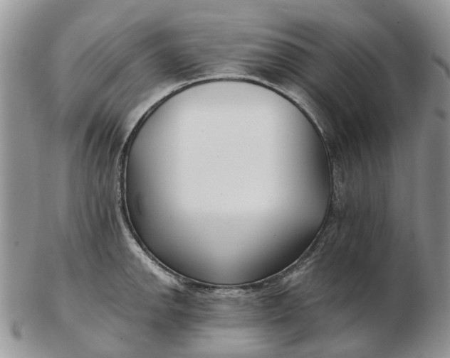 X0000102791142200809021109