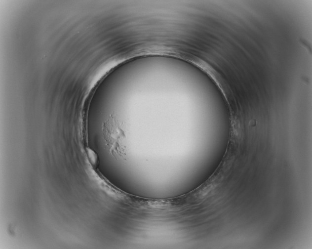 X0000102791147200809021109