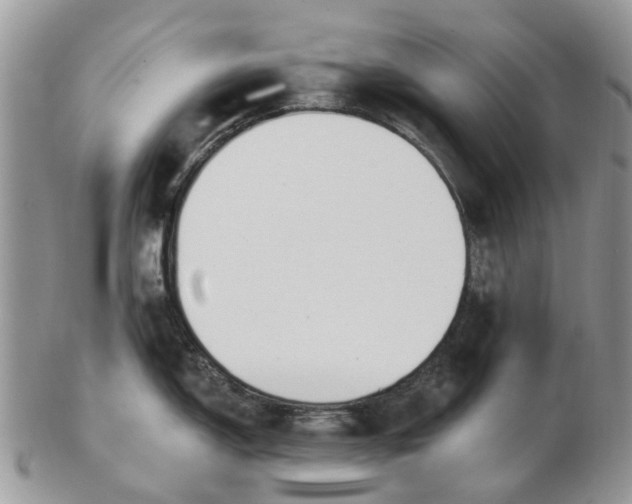 X0000102791150200809021109