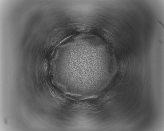 X0000102791154200809021108