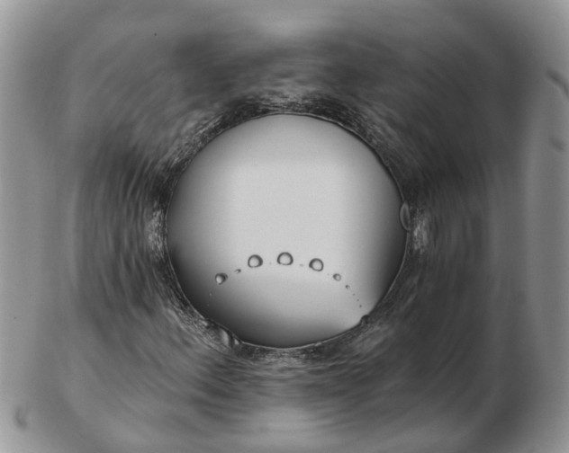 X0000102791156200809021108