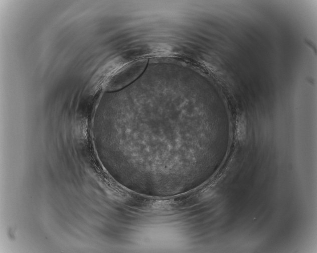 X0000102791161200809021108