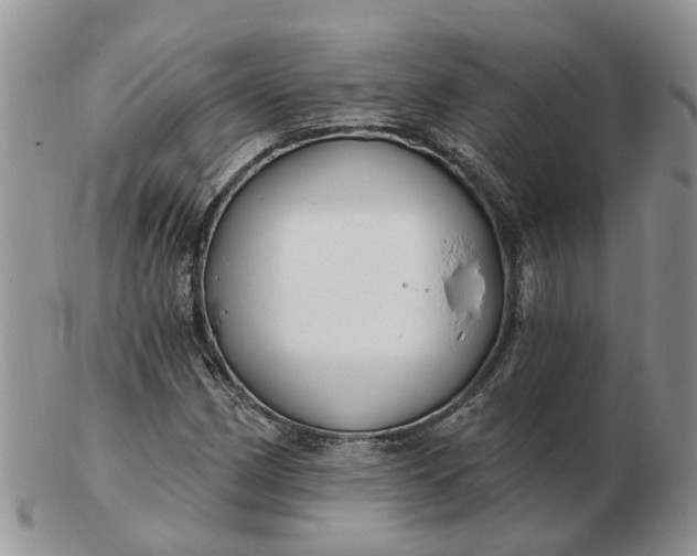 X0000102791162200809021108