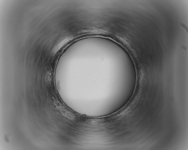 X0000102791163200809021108